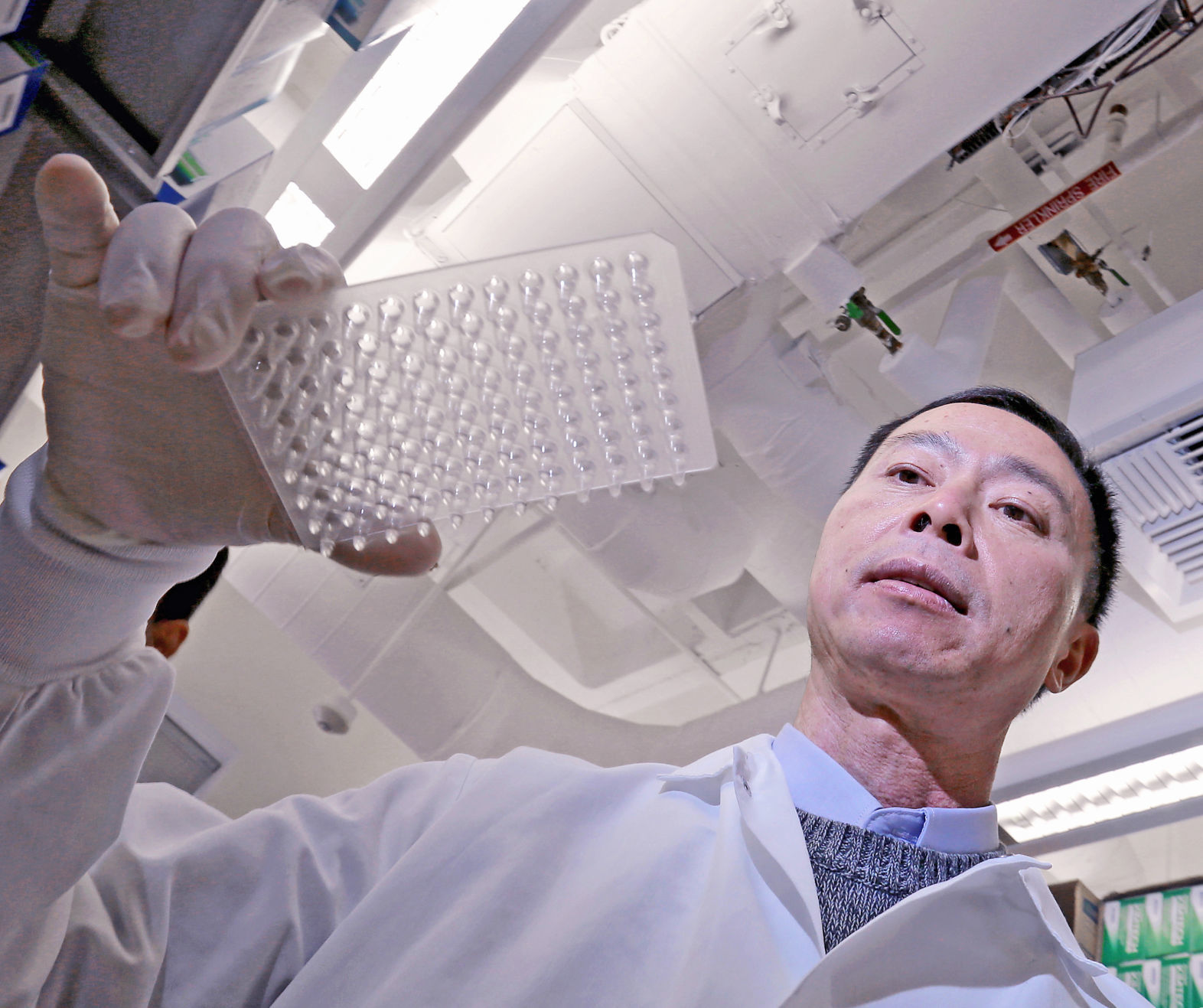 microplates (CT)